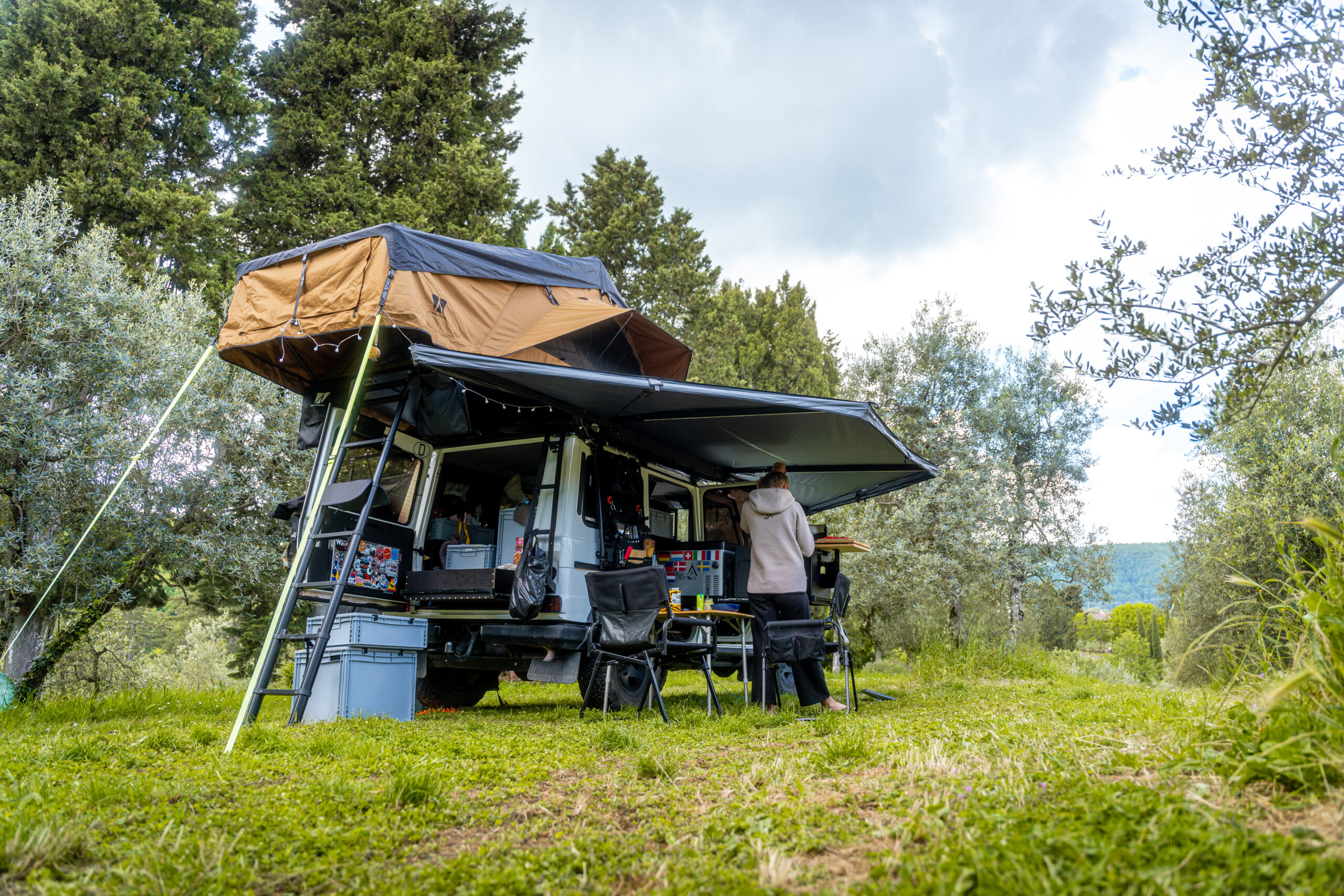 BIG WILLLOW 180 NOMA - Image 7