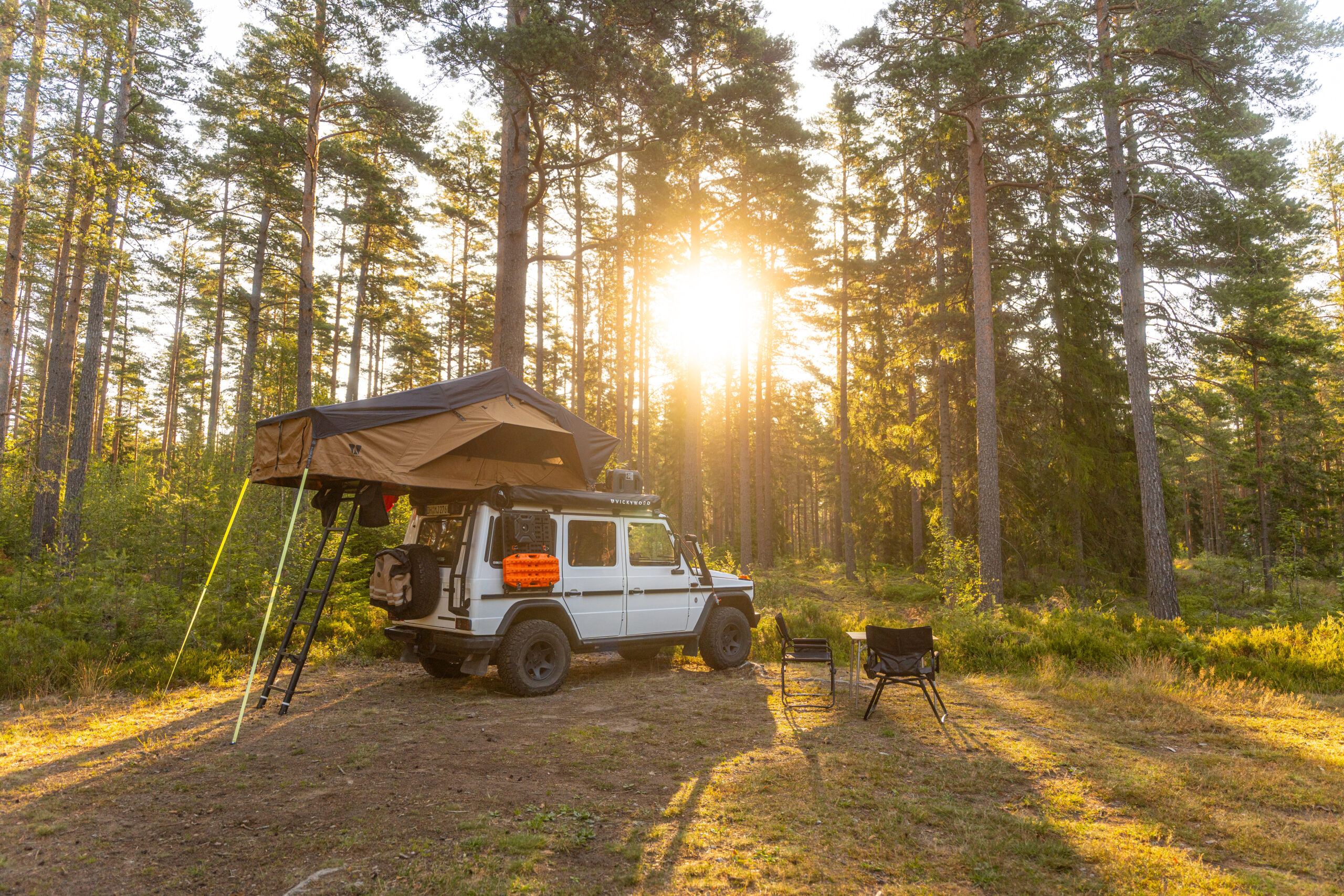 BIG WILLLOW 180 NOMA - Image 9