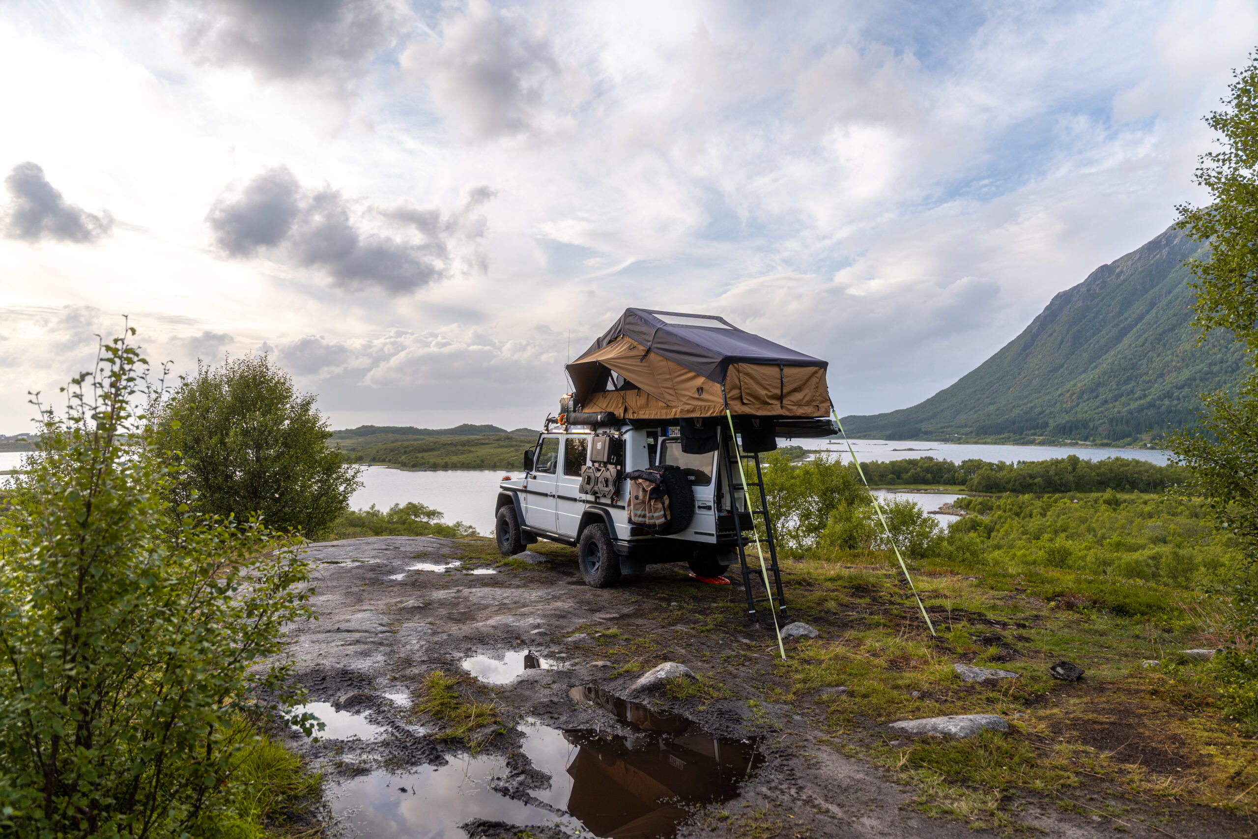 BIG WILLLOW 180 NOMA - Image 11