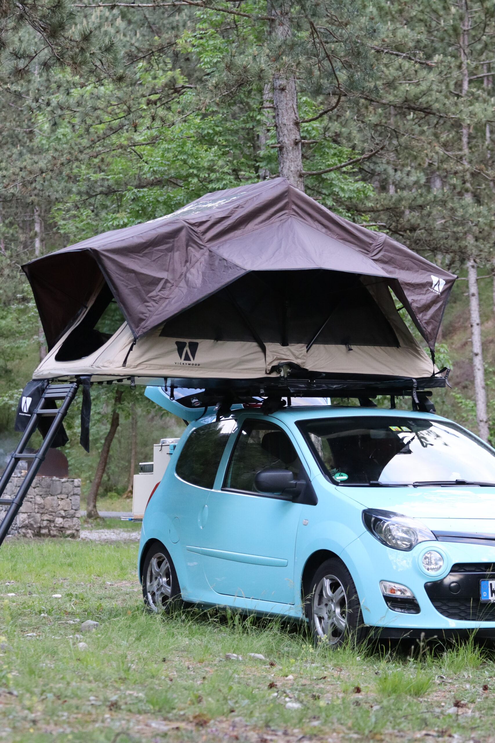 LITTLE BAMBOO 125 NOMA - Image 5